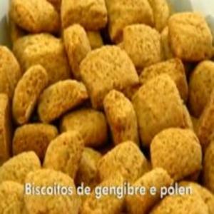 Receita de Biscoitos de gengibre e pólen do Globo Repórter