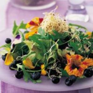 Receita de Salada de Folhas com Flores e Mirtilo
