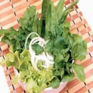 Receita de Salada Verde com Hortelã