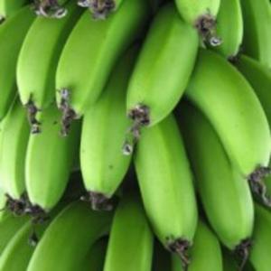 Receita de Suco Funcional de Banana Verde